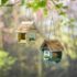 Butterfly Fir Wood Birdhouse